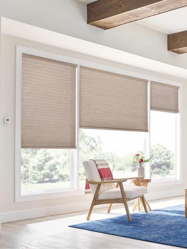 Tan cellular honeycomb shades in a Coquitlam living room