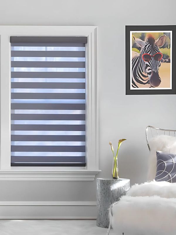 Zebra blinds cost per window in Canada